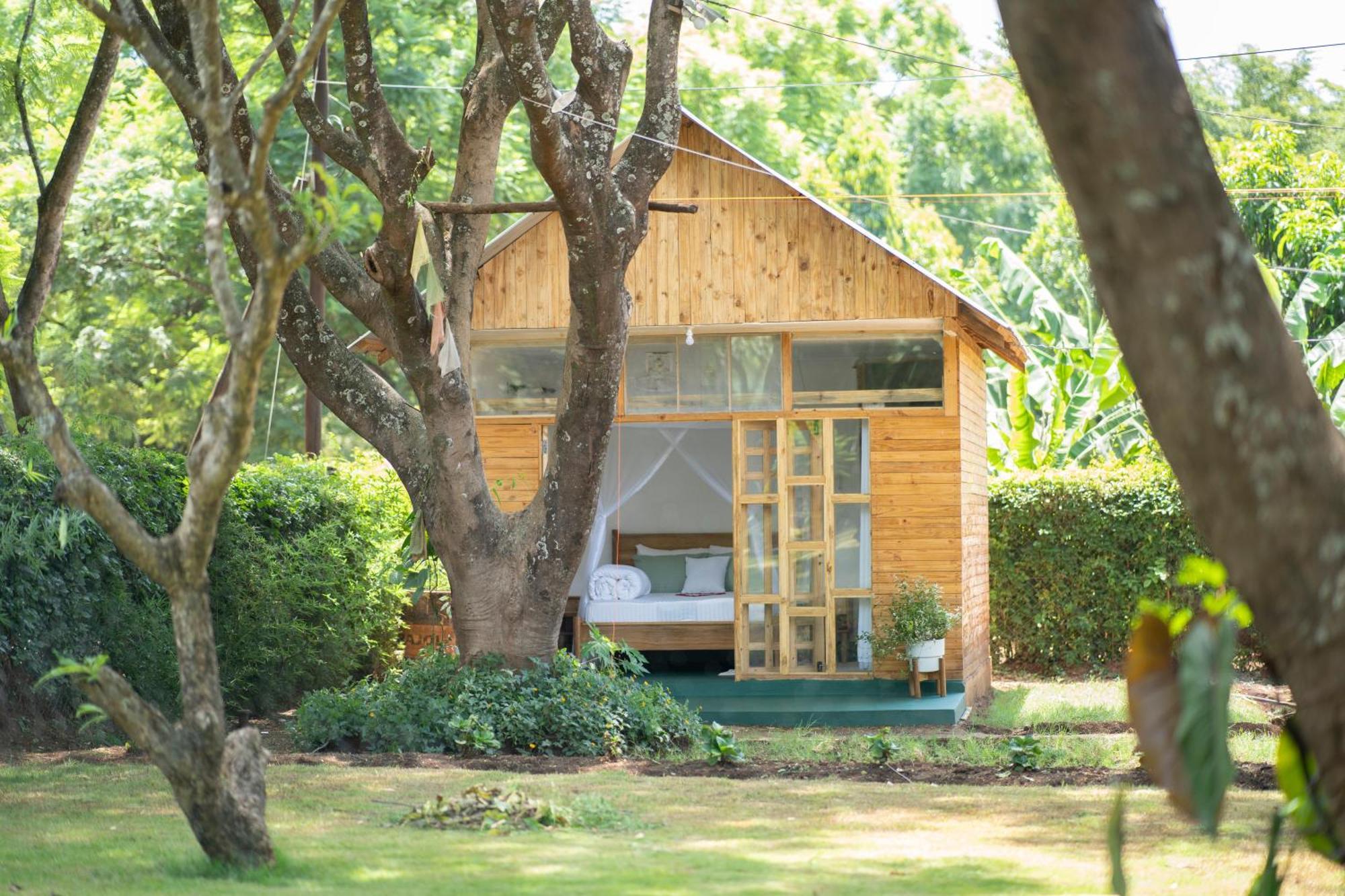 Mkoani Homestay Moshi Ngoại thất bức ảnh