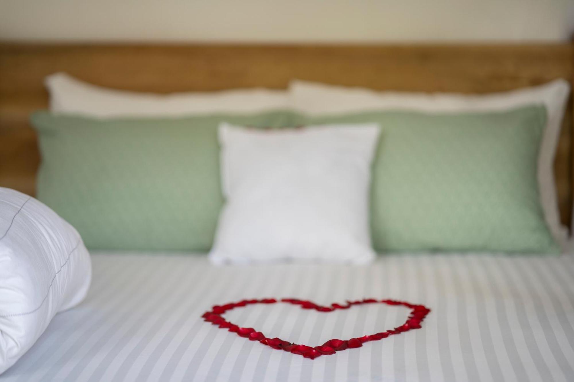Mkoani Homestay Moshi Ngoại thất bức ảnh